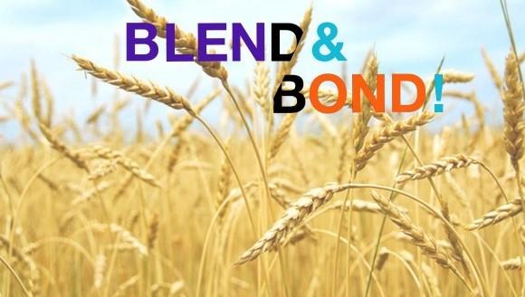 blend&bond.jpg